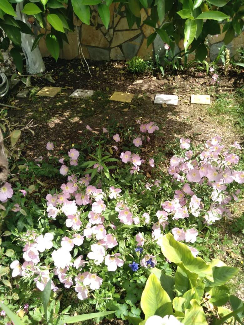 Sara Guesthouse Berat Buitenkant foto